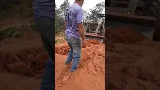 Decemdo a carregadeira de sima da murissoca