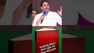 YS Jagan About Red Book Ruling #shorts : PDTV News