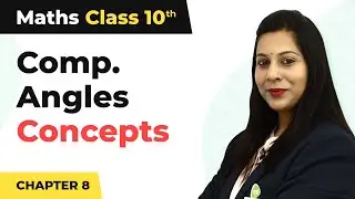Trigonometric Ratios of Complementary Angles Introduction to Trigonometry | Class 10 Maths 2023-24
