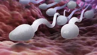 Shocking: Ghanaians students on Gov&rsquo;t scholarship in UK  donate sperms for money to pay school fees