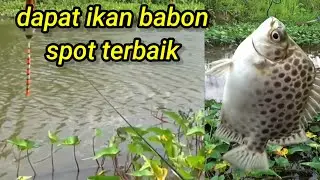 MANCING DI SUNGAI JARANG ORANG TAU #mancing 