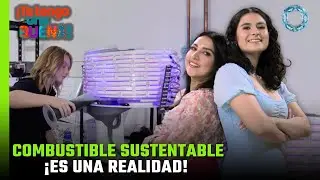 Combustible sustentable desde el oc&eacute;ano &iexcl;ya es una realidad!