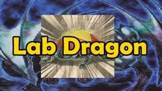 Labradorite Dragon
