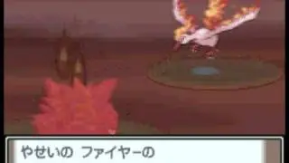 PKM DB - Platinum - Catching Shiny Legendary Birds: Zapdos, Moltres & Articuno
