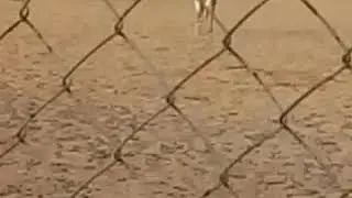 NOFA REPSORT KSA RIYADH