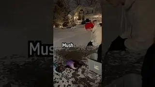 POV: вы хотите перекусить, но дороги слишком обледенели, чтобы по ним ехать