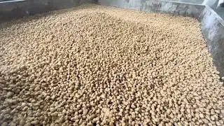 Small pet feed dog food and cat food production line machinery and equipment