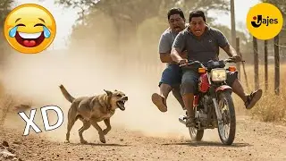 SI TE R&Iacute;ES PIERDES NIVEL DIOS #164 🤣 VIDEOS DE RISA 😎HUMOR VIRAL MEXICANO🤣