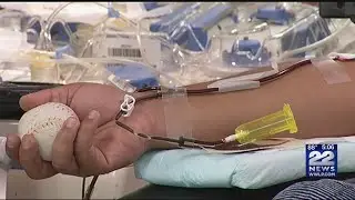 Wednesday is Blood Donation Day in Massachusetts