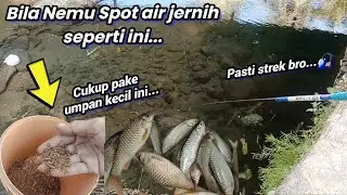 Mancing ikan wader,spot super air jernih || dengan umpan jitu.❗