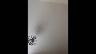 Fidget spinner vs iPad     (Fail)