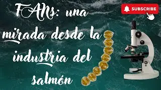 FANs desde la mirada de la industria salmonera