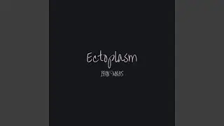 Ectoplasm
