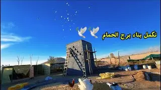 سقفنا  برج الحمام شي رهييب 😊👍 🕊️🕊️ 