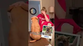 Best pet clone gifts ❤️ 