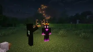 #live Peer SMP! with @PixelBladeOG