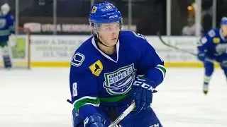 Jake Virtanen - 2016/17 AHL Highlights