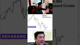 Apa Yang Membedakan EA Provits Training Dengan Yang Lain? | Jawabannya Ada Di Deskripsi Dibawah Ini