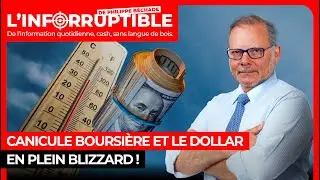 Canicule boursi&egrave;re et le dollar en plein blizzard !