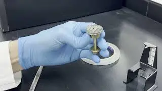 Gold Coating & SEM - Mawad Lab