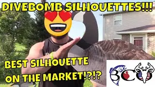 What REALLY Sets Divebomb Goose Decoys Apart from Other Brands