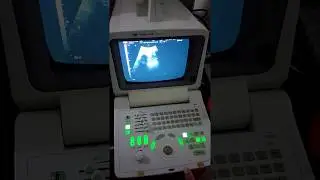 chison 600M demo