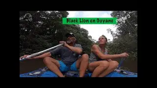 #97  S&eacute;jours en pleine for&ecirc;t amazoniennes, 3 jours au carbet- Black Lion en Guyane