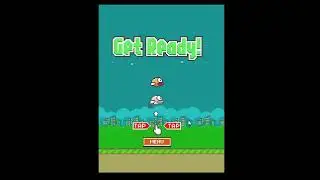 floppy bird trying to outscore