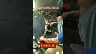 Amazing Process of Making Super Sharp Machete Knife from Carbon Steel #machete #sharp #fyp