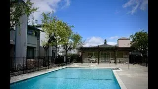 San Jose Cambrian Park Rental For Rent - 2 Bed/1 Bath - by Property Management in Silicon Valley