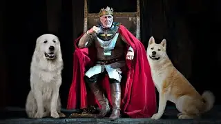 These Are 10 Real Royal Dog Breeds
