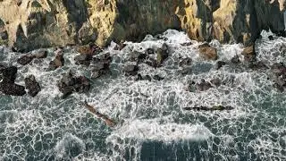 3DMAX | PHOENIX | VRAY | QUIXEL MEGASCANS | ANIMATION | SEA| BEACH | WAVES