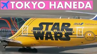 WOW 30 Special Airlines Liveries at Tokyo Haneda Airport