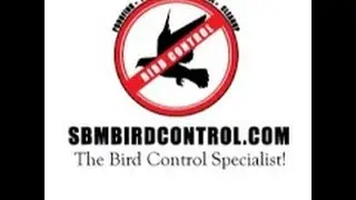 Bird Netting Installation - Deira Creek, Dubai, UAE