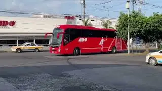 Recopilaci&oacute;n de autobuses en la terminal de ado de C&oacute;rdoba Veracruz #travel#autobuses#busologia 