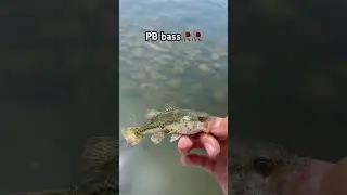 What ur pw bass #fishing #carpfishing #carp #bassfishing #fish