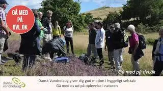 Tag med Dansk Vandrelaug p&aring; tur