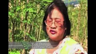 Moringa Documentary HD, 1280x720p