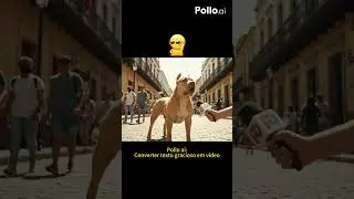 #lolvideo #funny #veo3 #laughvideo #aigenerated#portugu&ecirc;s  #brazil