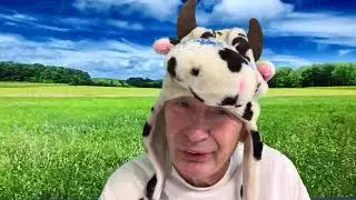 Devin Nunes Cow :Horses are Socially awkward.   🐄