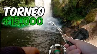 Llegamos 2 HORAS TARDE y GANAMOS el Torneo de Trucha 🏆