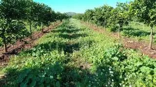 Benvenuti in Limoni di Siracusa