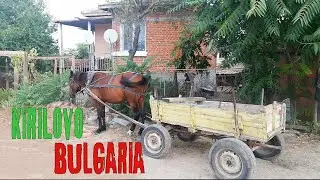 Kirilovo Bulgaria / Real Life In Bulgaria