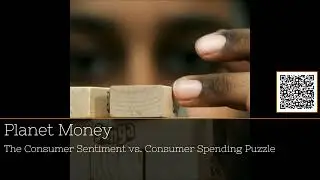 The Paradox of Spending: Why We Shop Despite Gloomy Times #podcast #20Minutes