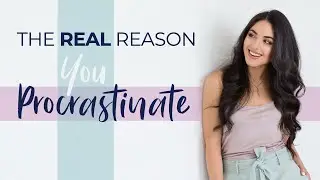 The REAL reason you Procrastinate &ndash; it's not because you're lazy... | #shorts  Shad&eacute; Zahrai