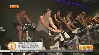 Rebel Rhythm Cycle
