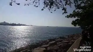 Spojen&eacute; arabsk&eacute; emir&aacute;ty