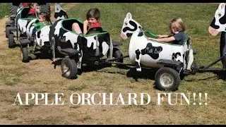 Apple Orchard Fun | Grandad's Apples