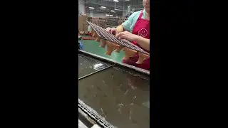 Technology shell, natural charm: wood grain hydro transfer printing process combines natural wood