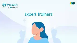 Bespoke MuleSoft Training for Businesses